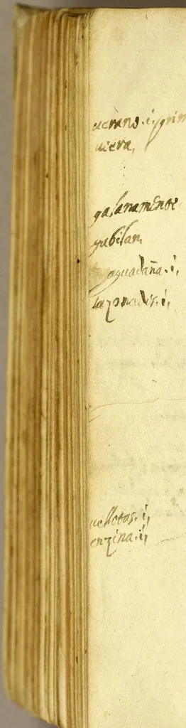 An illustration from Silua de varia lecion, 1556, leaf 678