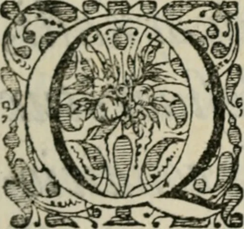 An illustration from Siluestri á Petrasancta Symbola heroica, 1682, leaf 10