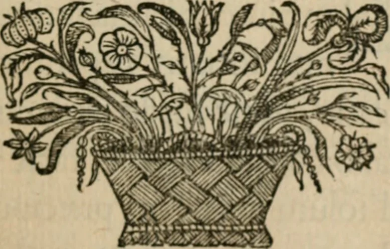 An illustration from Siluestri á Petrasancta Symbola heroica, 1682, leaf 160