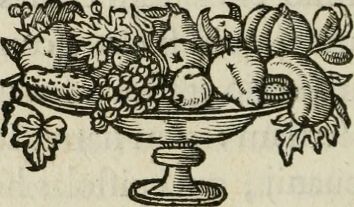 An illustration from Siluestri á Petrasancta Symbola heroica, 1682, leaf 247