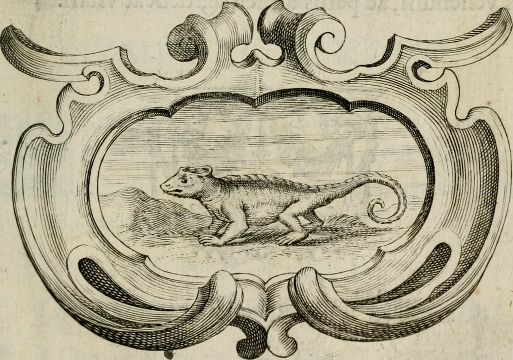 An illustration from Siluestri á Petrasancta Symbola heroica, 1682, leaf 254