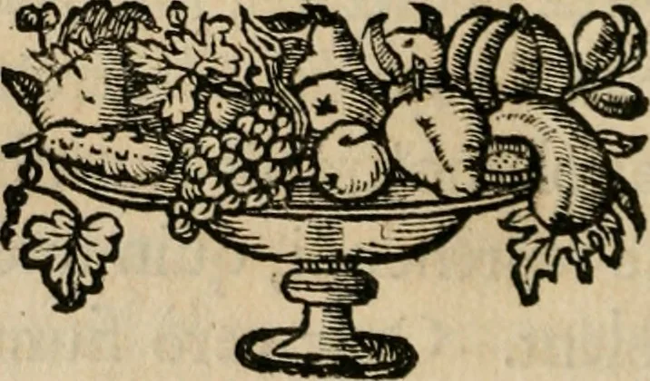 An illustration from Siluestri á Petrasancta Symbola heroica, 1682, leaf 393