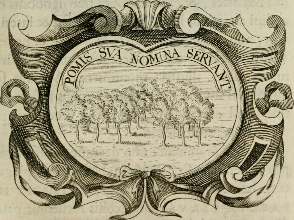 An illustration from Siluestri á Petrasancta Symbola heroica, 1682, leaf 514