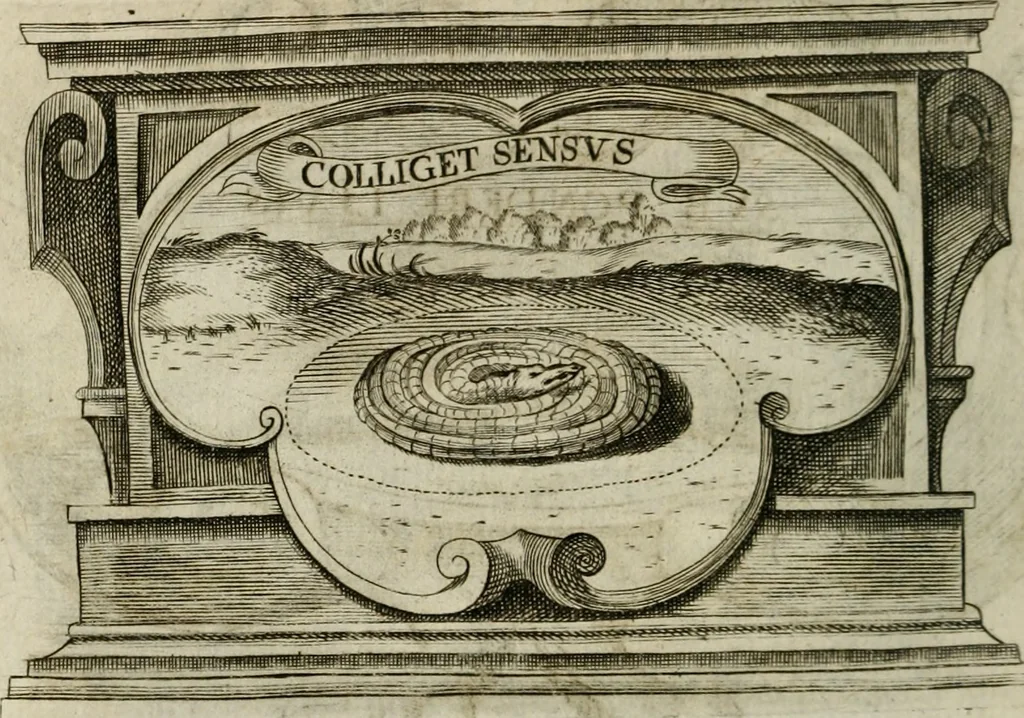 An illustration from Siluestri á Petrasancta Symbola heroica, 1682, leaf 533