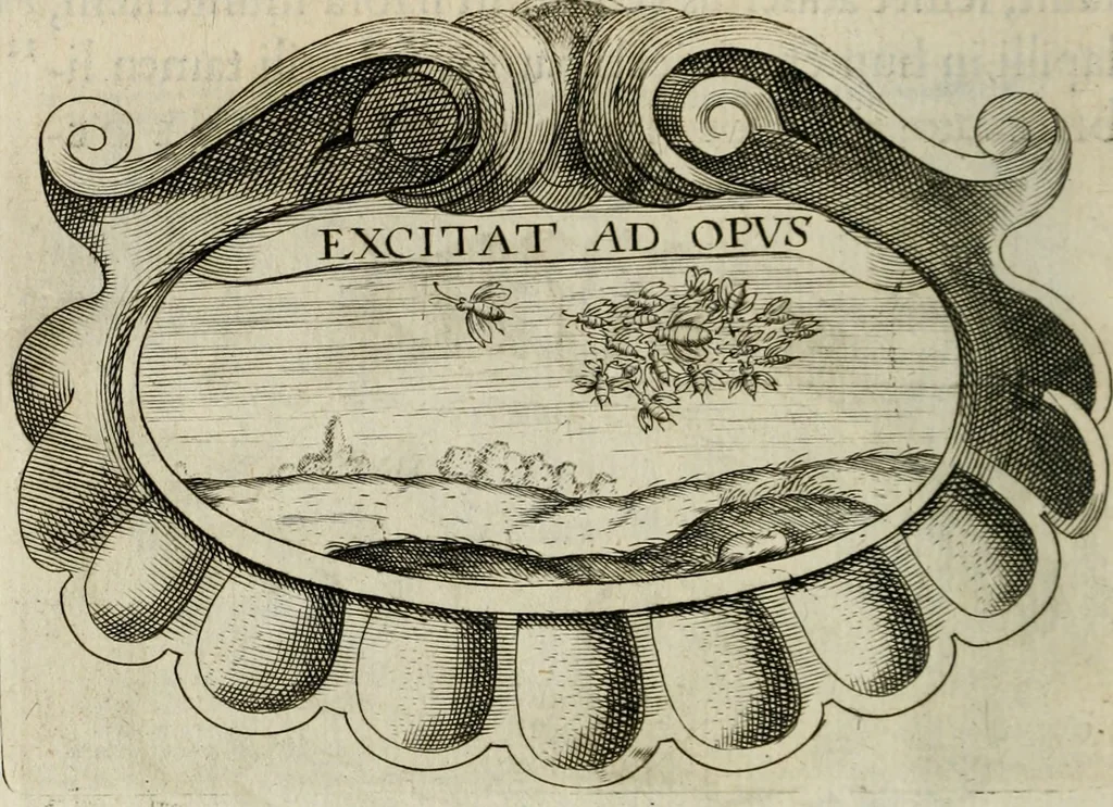 An illustration from Siluestri á Petrasancta Symbola heroica, 1682, leaf 535