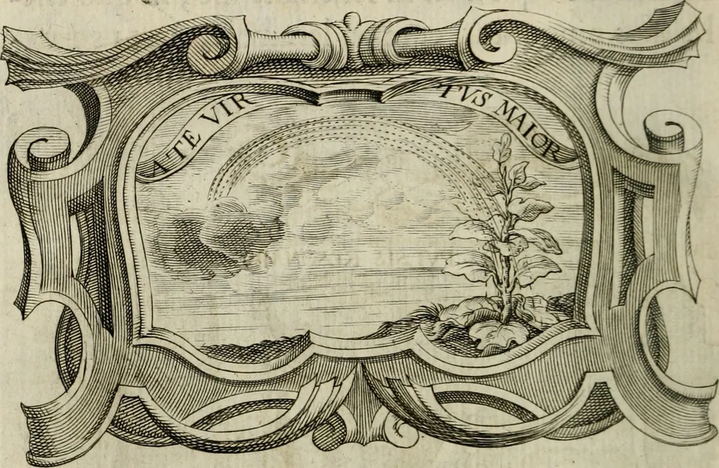 An illustration from Siluestri á Petrasancta Symbola heroica, 1682, leaf 539