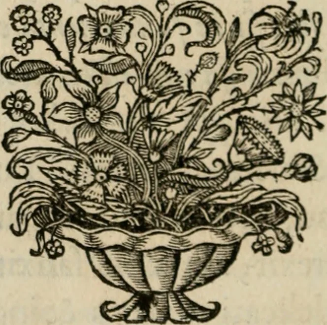 An illustration from Siluestri á Petrasancta Symbola heroica, 1682, leaf 91
