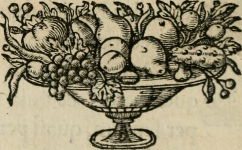 An illustration from Siluestri á Petrasancta Symbola heroica, 1682, leaf 93