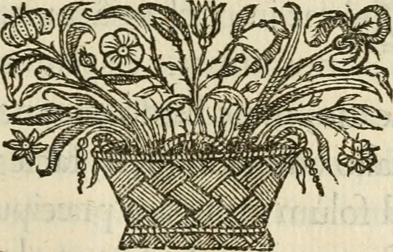 An illustration from Siluestri à Petrasancta Symbola heroica, 1682, leaf 156