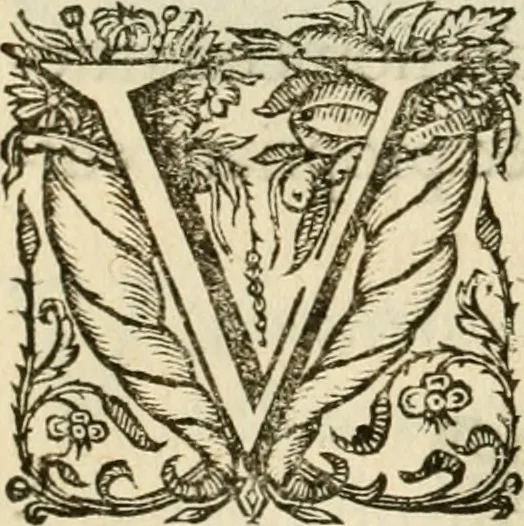An illustration from Siluestri à Petrasancta Symbola heroica, 1682, leaf 157