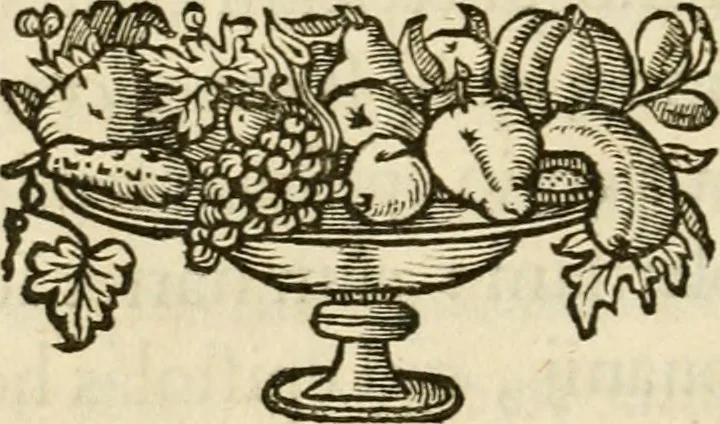 An illustration from Siluestri à Petrasancta Symbola heroica, 1682, leaf 243