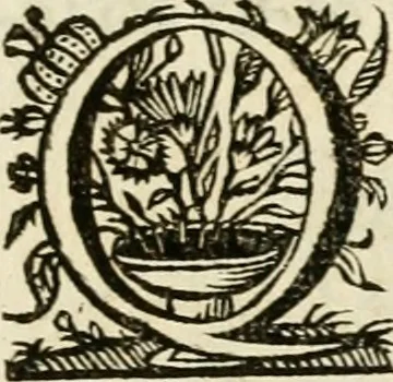 An illustration from Siluestri à Petrasancta Symbola heroica, 1682, leaf 390