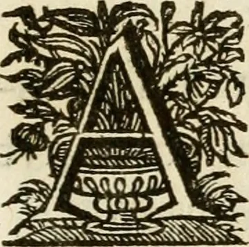 An illustration from Siluestri à Petrasancta Symbola heroica, 1682, leaf 418