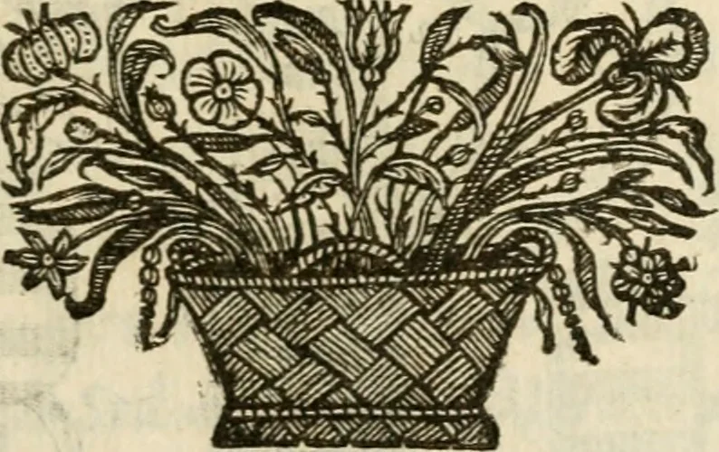 An illustration from Siluestri à Petrasancta Symbola heroica, 1682, leaf 52