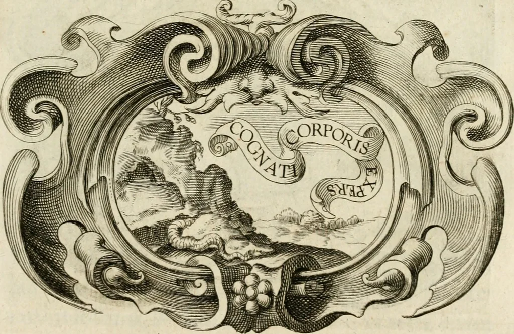 An illustration from Siluestri à Petrasancta Symbola heroica, 1682, leaf 546