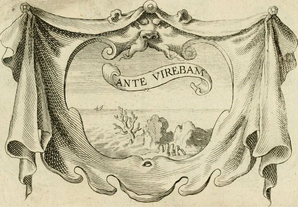 An illustration from Siluestri à Petrasancta Symbola heroica, 1682, leaf 554