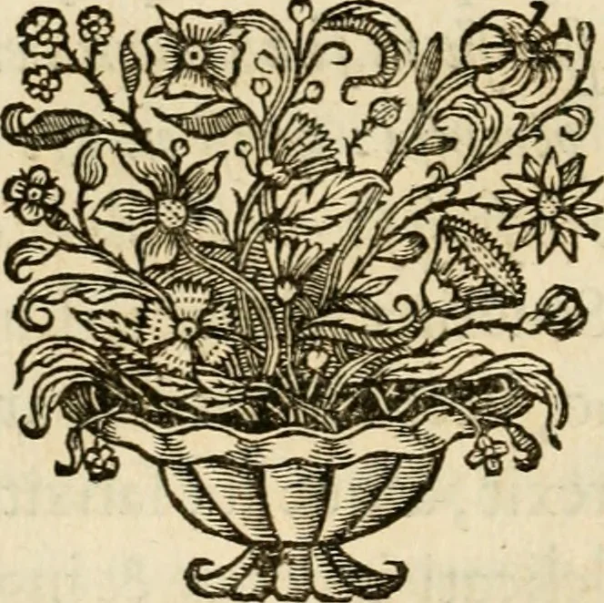 An illustration from Siluestri à Petrasancta Symbola heroica, 1682, leaf 87