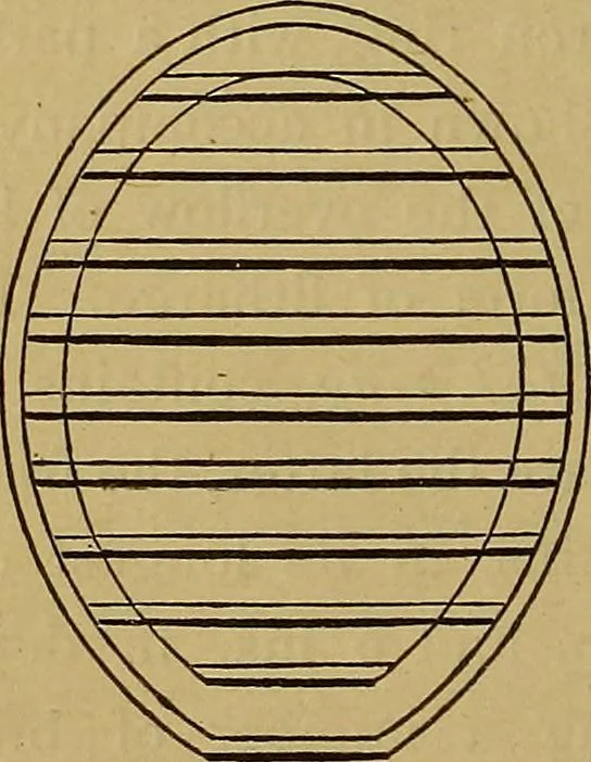 An illustration from The silversmith's handbook : containing full instructions for the alloying and working of silver, including the different modes of refining and melting the metal; its solders; the preparation of imitation alloys..., 1921, leaf 65