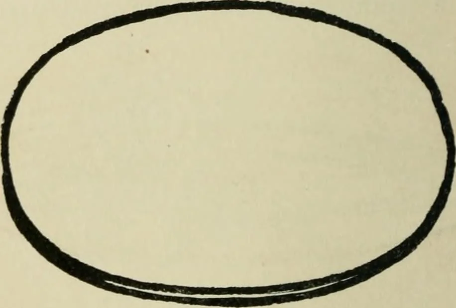An illustration from Silverwork and jewelery; a text-book for students and workers in metal, by H. Wilson, 1903, leaf 167