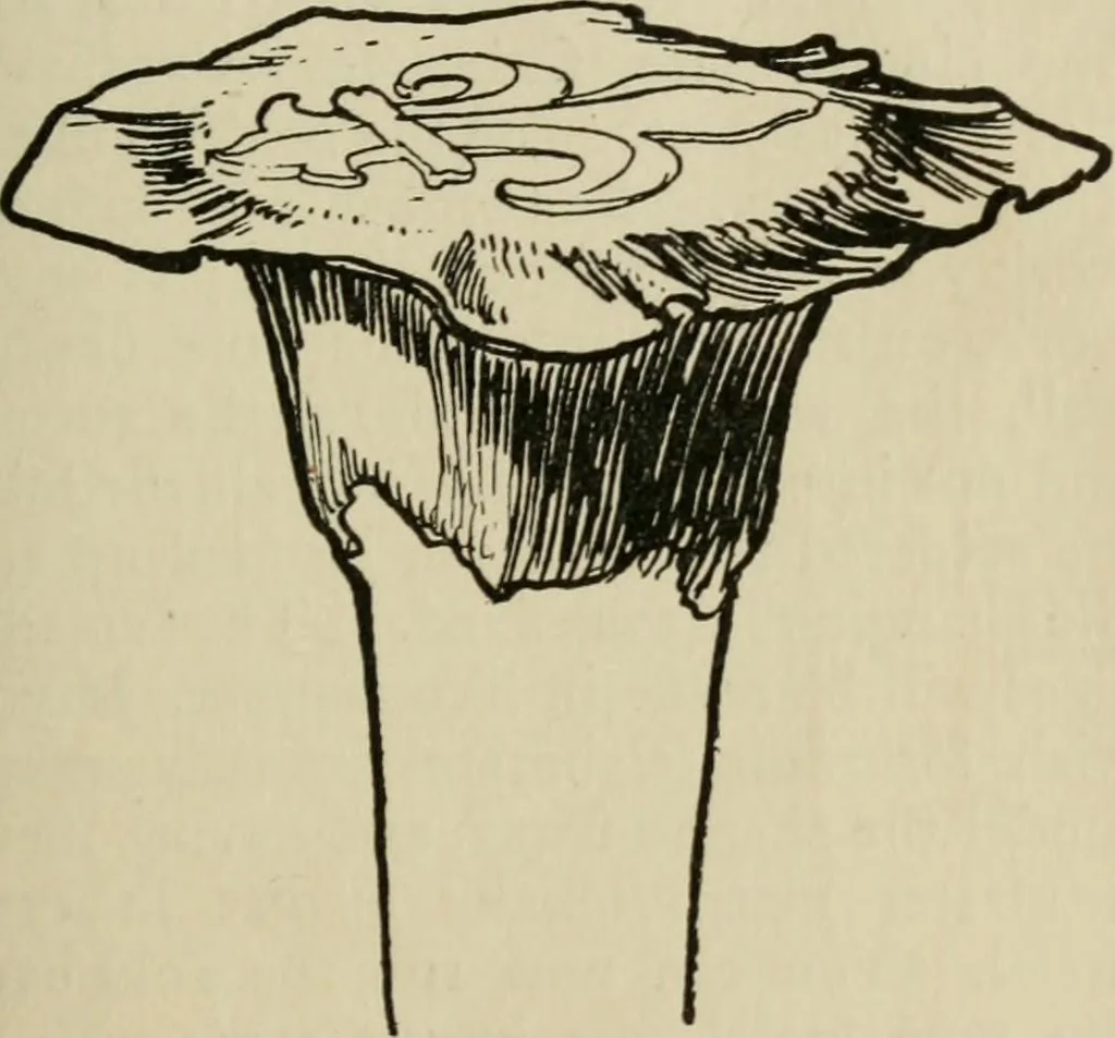 An illustration from Silverwork and jewelery; a text-book for students and workers in metal, by H. Wilson, 1903, leaf 186