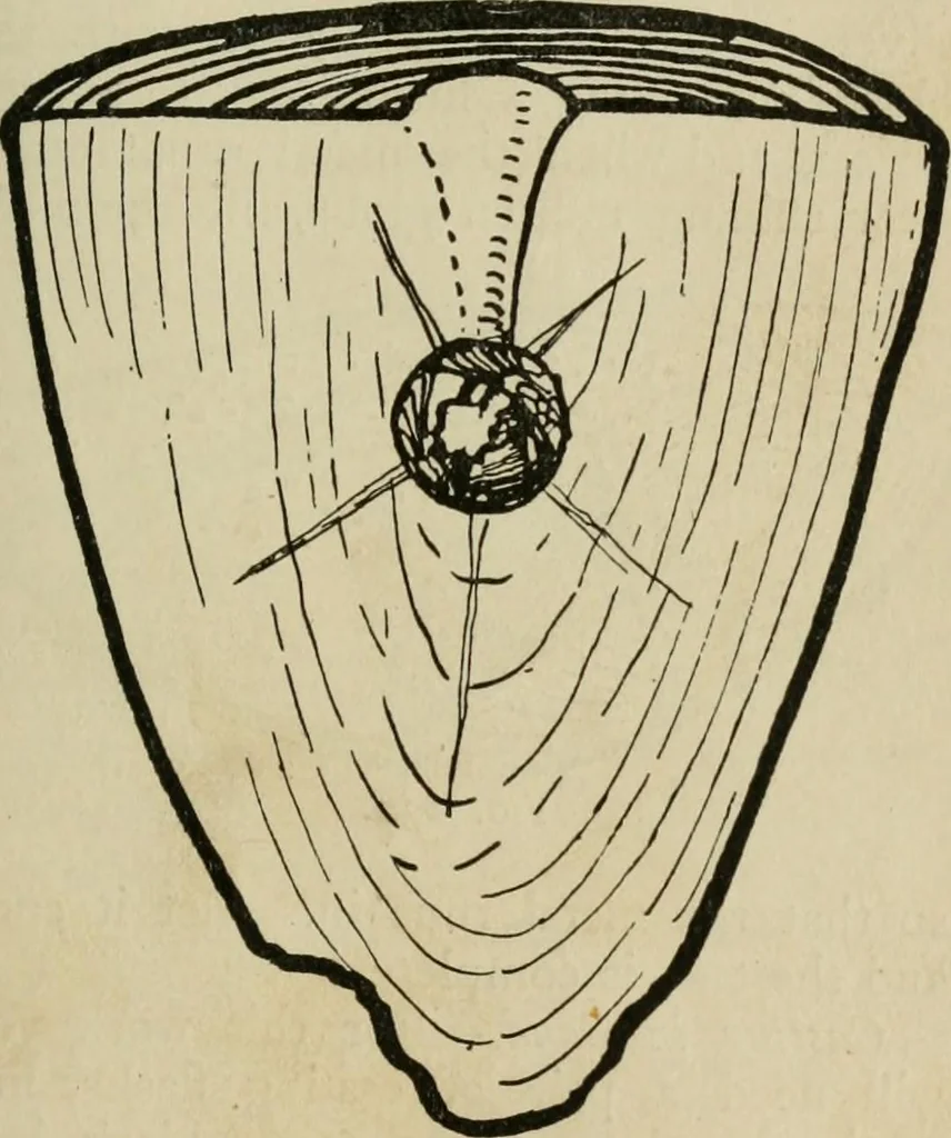 An illustration from Silverwork and jewelery; a text-book for students and workers in metal, by H. Wilson, 1903, leaf 202