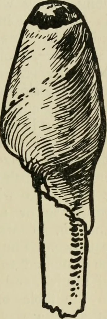 An illustration from Silverwork and jewelery; a text-book for students and workers in metal, by H. Wilson, 1903, leaf 248