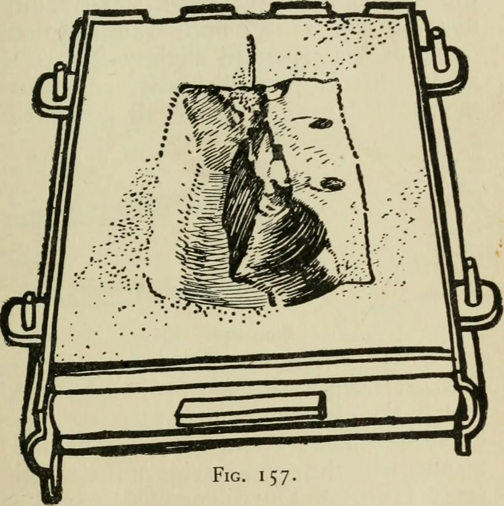 An illustration from Silverwork and jewelery; a text-book for students and workers in metal, by H. Wilson, 1903, leaf 254