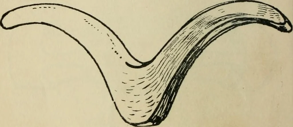 An illustration from Silverwork and jewelery; a text-book for students and workers in metal, by H. Wilson, 1903, leaf 61