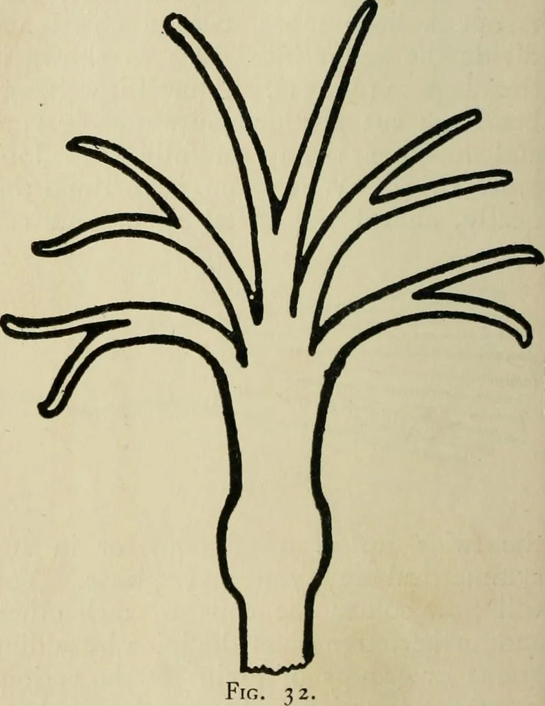An illustration from Silverwork and jewelery; a text-book for students and workers in metal, by H. Wilson, 1903, leaf 89