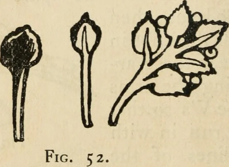 An illustration from Silverwork and jewelry : a text-book for students and workers in metal, 1912, leaf 113