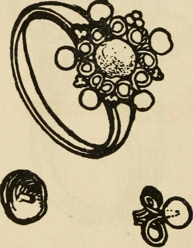 An illustration from Silverwork and jewelry : a text-book for students and workers in metal, 1912, leaf 115