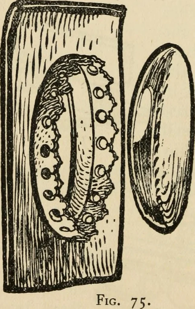 An illustration from Silverwork and jewelry : a text-book for students and workers in metal, 1912, leaf 143