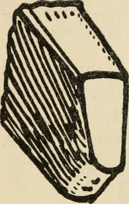 An illustration from Silverwork and jewelry : a text-book for students and workers in metal, 1912, leaf 195