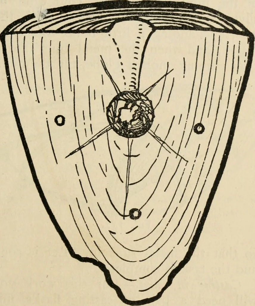 An illustration from Silverwork and jewelry : a text-book for students and workers in metal, 1912, leaf 202