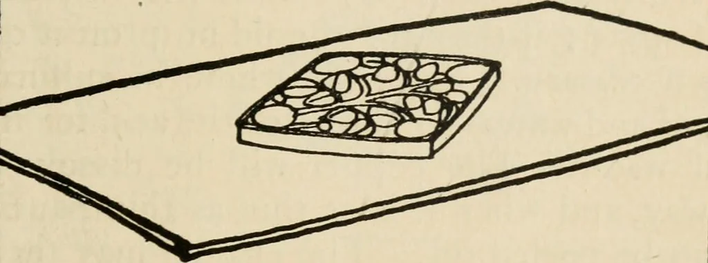 An illustration from Silverwork and jewelry : a text-book for students and workers in metal, 1912, leaf 224