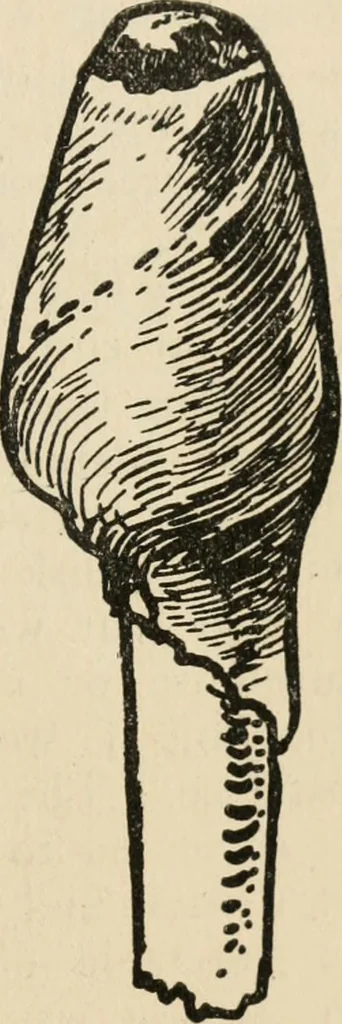 An illustration from Silverwork and jewelry : a text-book for students and workers in metal, 1912, leaf 248