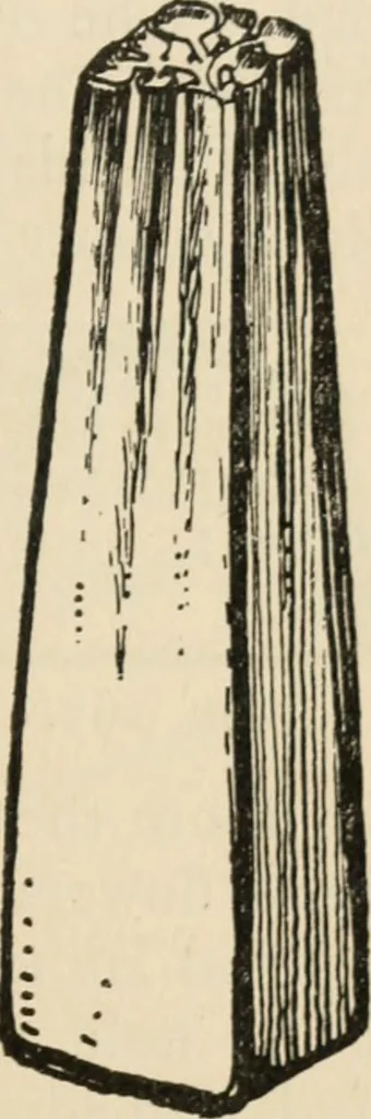 An illustration from Silverwork and jewelry : a text-book for students and workers in metal, 1912, leaf 278