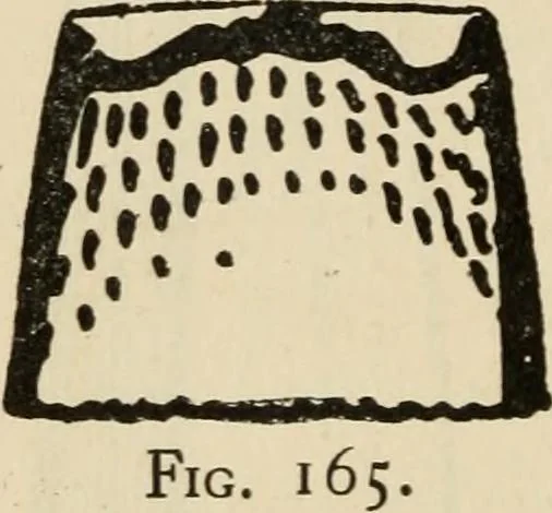 An illustration from Silverwork and jewelry : a text-book for students and workers in metal, 1912, leaf 279