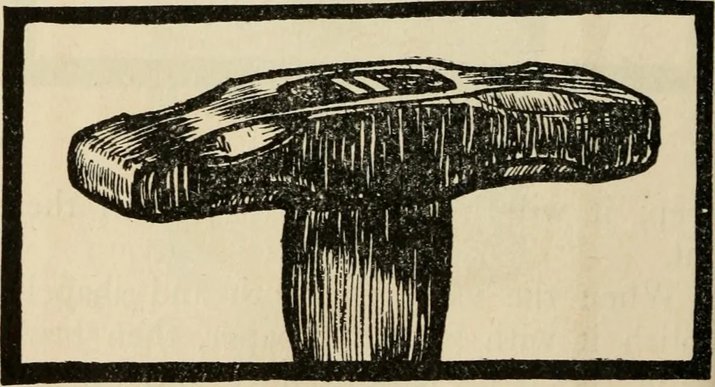 An illustration from Silverwork and jewelry : a text-book for students and workers in metal, 1912, leaf 299