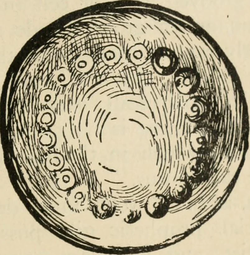 An illustration from Silverwork and jewelry : a text-book for students and workers in metal, 1912, leaf 404