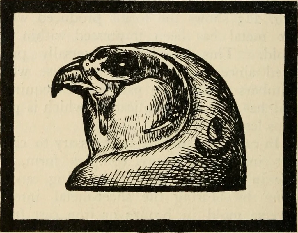 An illustration from Silverwork and jewelry : a text-book for students and workers in metal, 1912, leaf 407