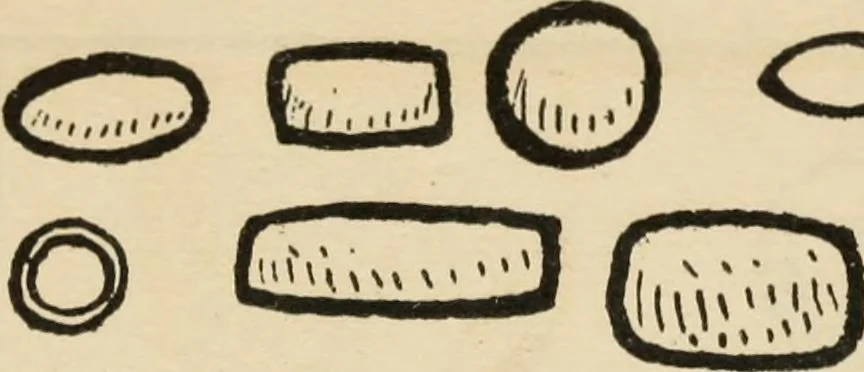 An illustration from Silverwork and jewelry : a text-book for students and workers in metal, 1912, leaf 53