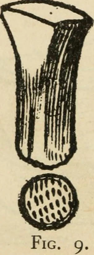An illustration from Silverwork and jewelry : a text-book for students and workers in metal, 1912, leaf 55