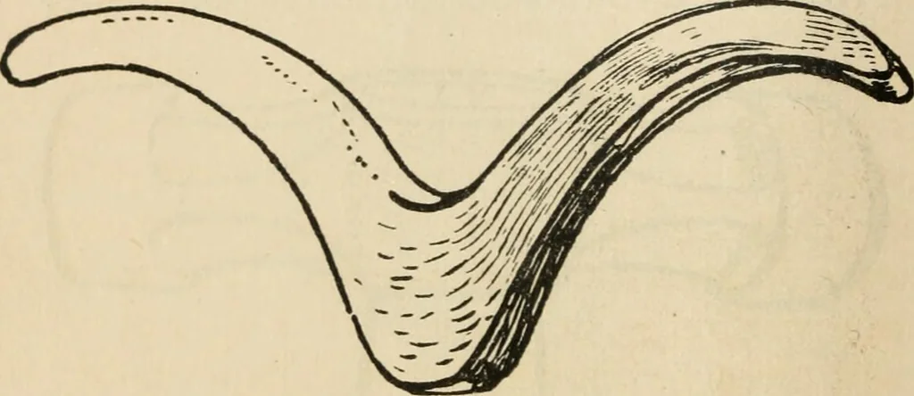 An illustration from Silverwork and jewelry : a text-book for students and workers in metal, 1912, leaf 61