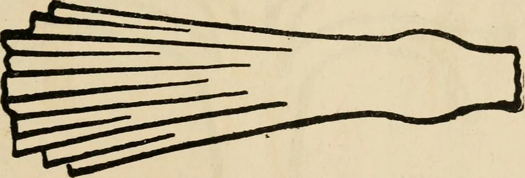 An illustration from Silverwork and jewelry : a text-book for students and workers in metal, 1912, leaf 88