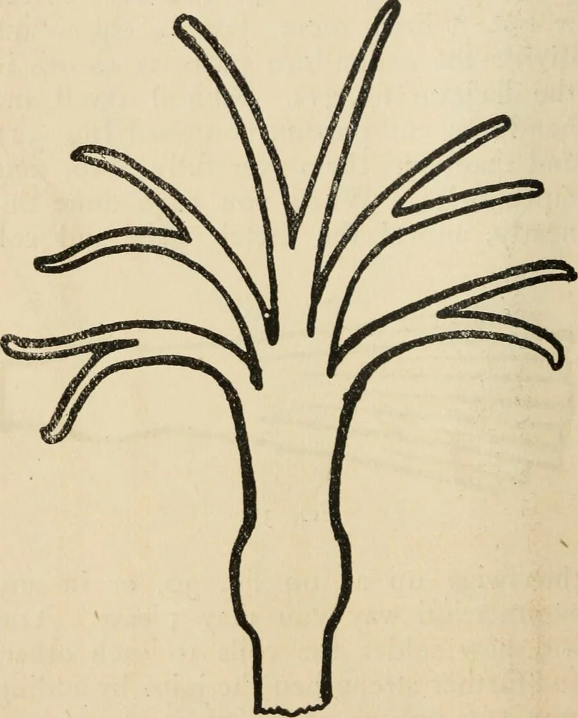An illustration from Silverwork and jewelry : a text-book for students and workers in metal, 1912, leaf 89