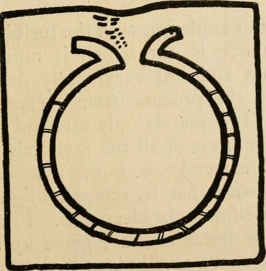 An illustration from Silverwork and jewelry : a text-book for students and workers in metal, 1912, leaf 98