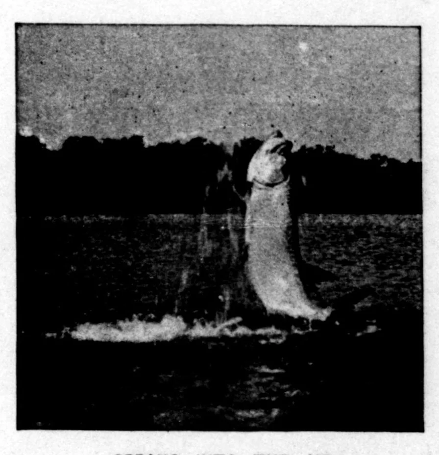 An illustration from The Badminton Magazine of Sports and Pasttimes 1895-08: Vol 1 Iss 1, 1895, leaf 86