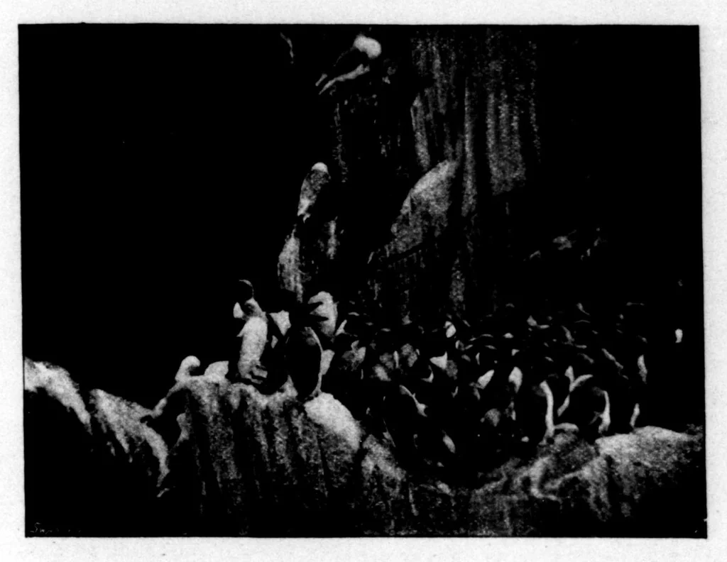 An illustration from The Badminton Magazine 1895-11: Vol 1 Iss 4, 1895, leaf 56