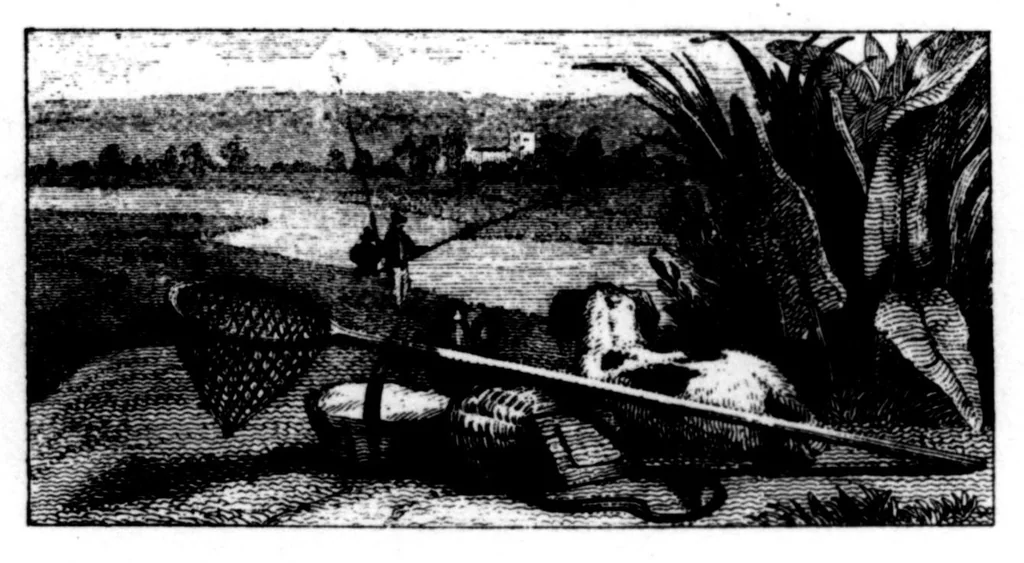 An illustration from The Badminton Magazine of Sports and Pasttimes 1896-01: Vol 2 Iss 6, 1896, leaf 43